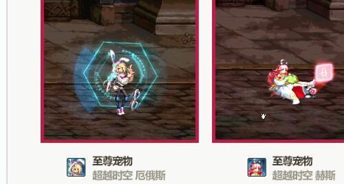 2022年至尊宠物