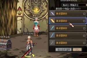 武器装扮无脑导入